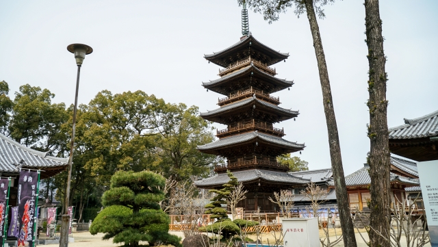 専門 買取 青写真設計図○昭和３０年 国宝 本山寺本堂竣功詳細図 1/20